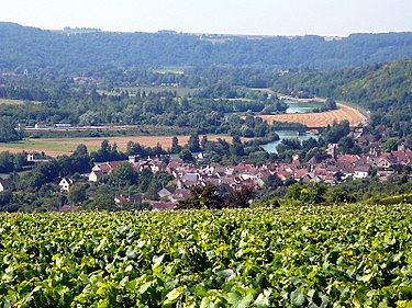 A 5 minutes du Clos de la Rose: la vall�e de la Marne et ses vignobles
