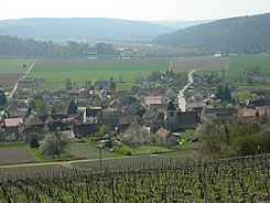Vall�e de la Marne depuis les vignes au-dessus de Bonneil