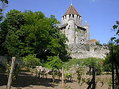 La Tour C�sar, formidable donjon m�di�val, unique en son genre, est devenu l'embl�me de Provins
