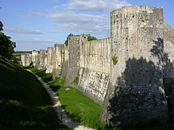 Les impressionnants remparts de Provins servent de dcor  un spectacle de fauconnerie unique en Europe et  ne pas manquer!